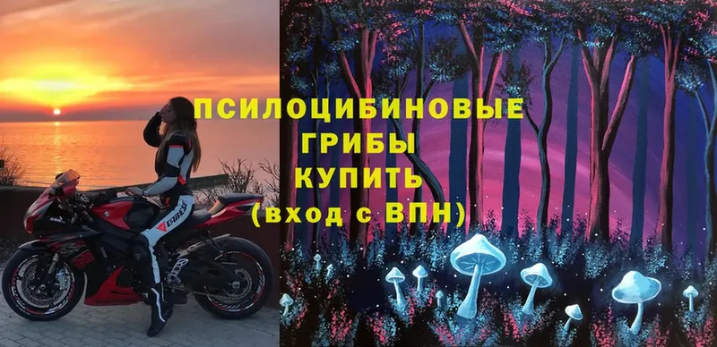 Галлюциногенные грибы Cubensis  Реутов 